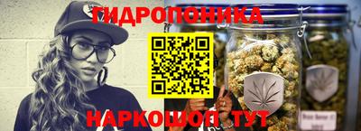 сатива Кунгур