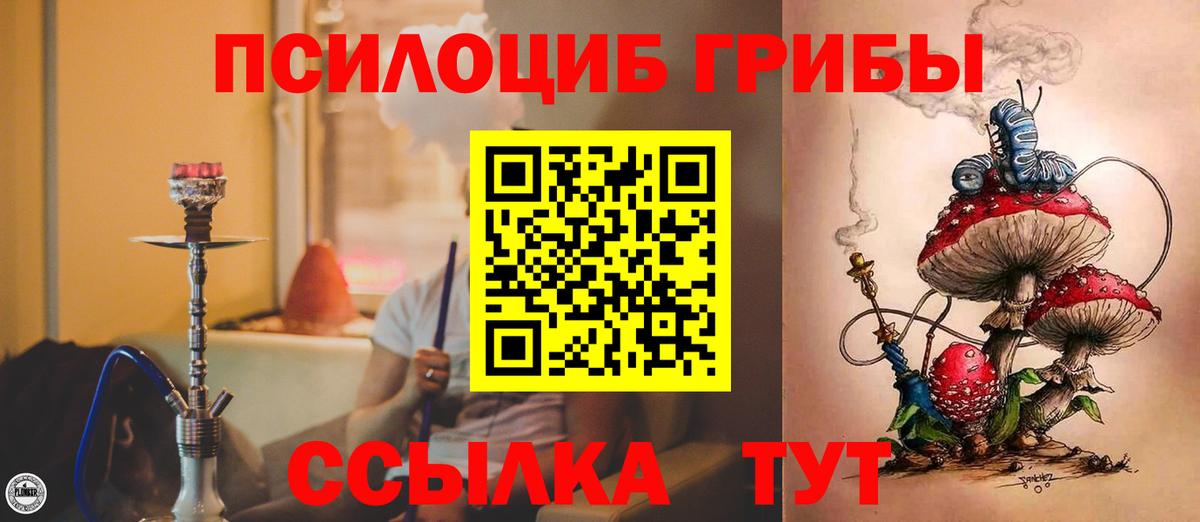 Галлюциногенные грибы прущие грибы  Вход с VPN  Добрянка 