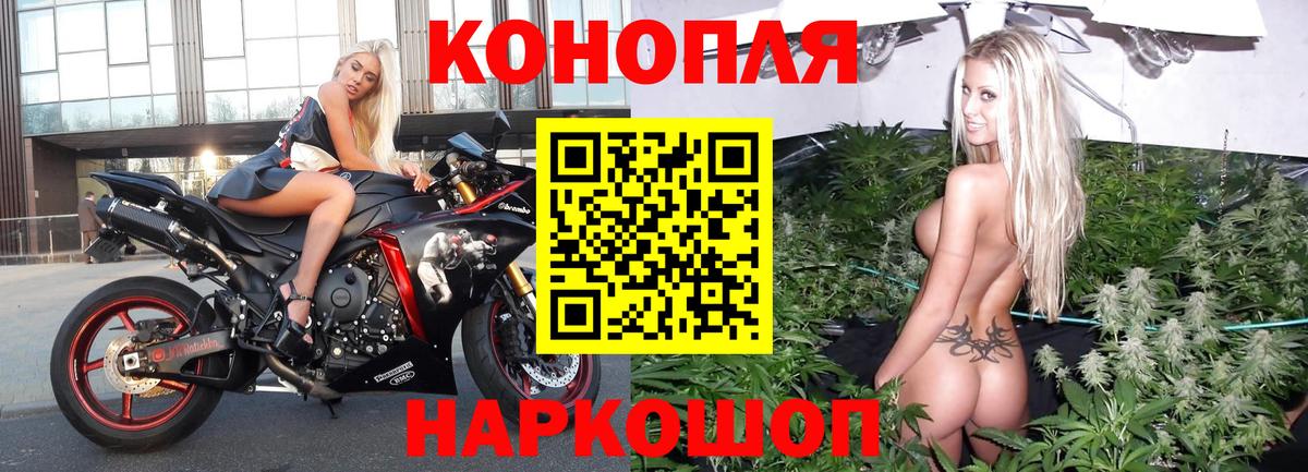 Марихуана конопля Добрянка